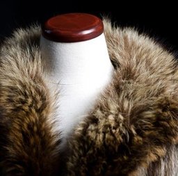 beautiful fur coat
