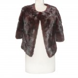 dark fur coat front side